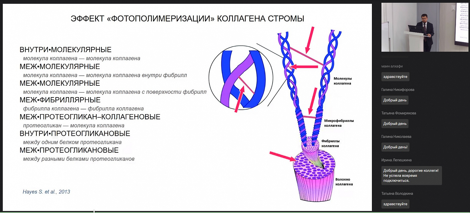Современные подходы к диагностике и лечению заболеваний роговицы обсудили на заседании Чувашского регионального общества офтальмологов